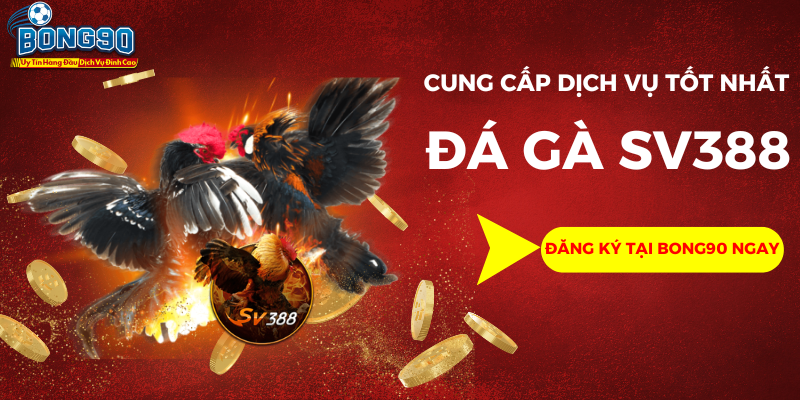 Bong90 cung cấp dịch vụ đá gà