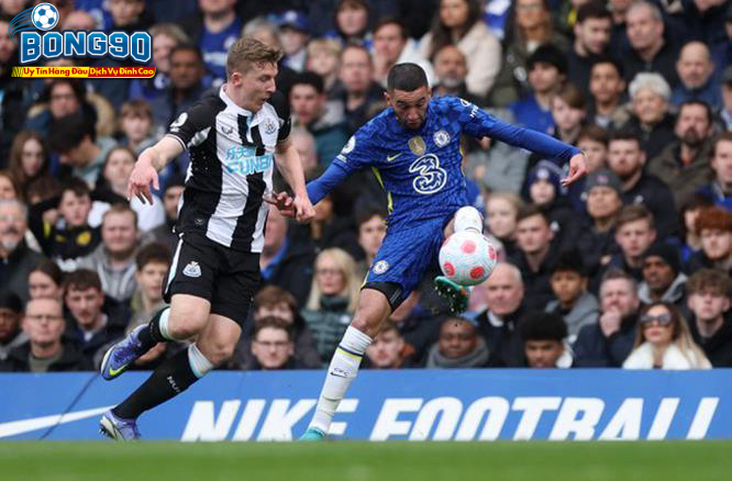 Middlesbrough và Chelsea