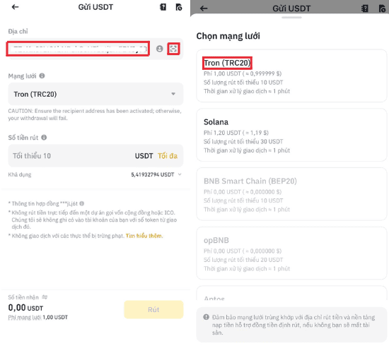 binance sao chep vi chon mang luoi