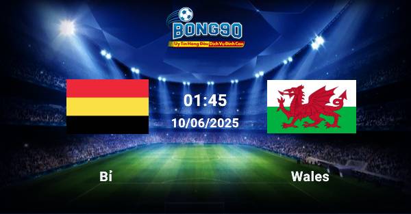 nhận định Bỉ đấu với Wales