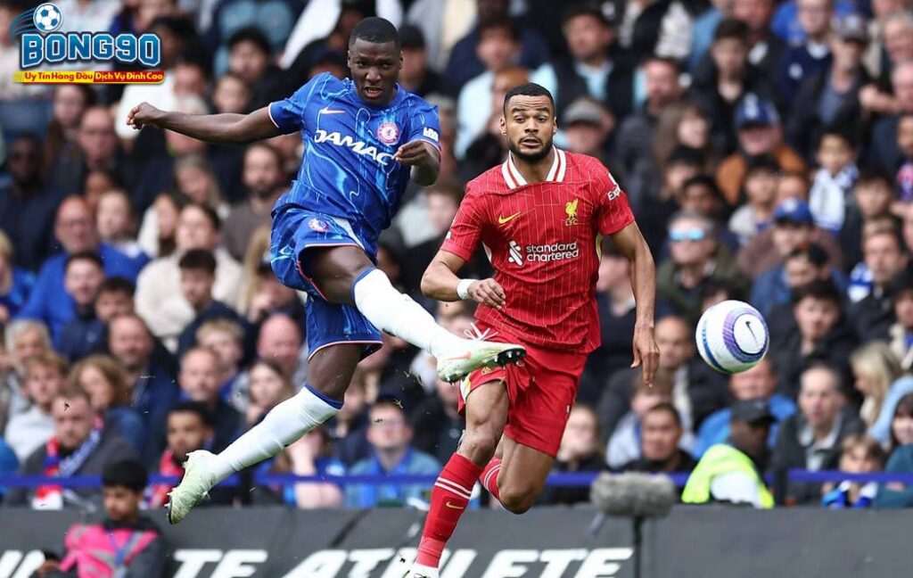 Linfield đấu với Shelbourne